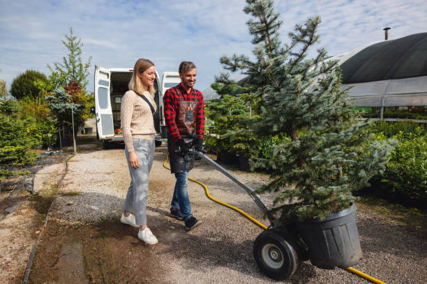 Professional Tree Services in Salem Heights, OH